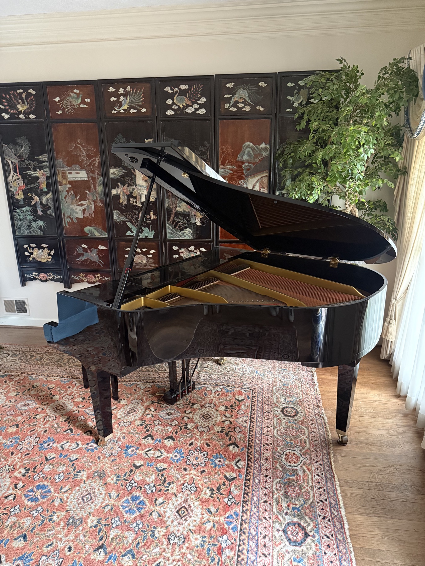 Black grand piano displayed in a formal Sandy Springs living room